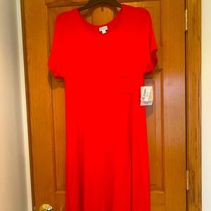 Brand new LuLaRoe Carly Swing Dress